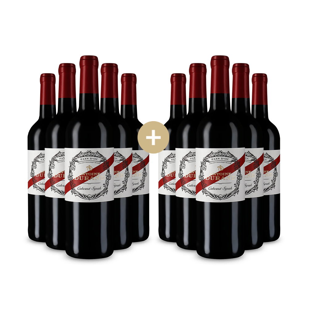 5+5 lahví Cabernet Syrah 2023 – Gold