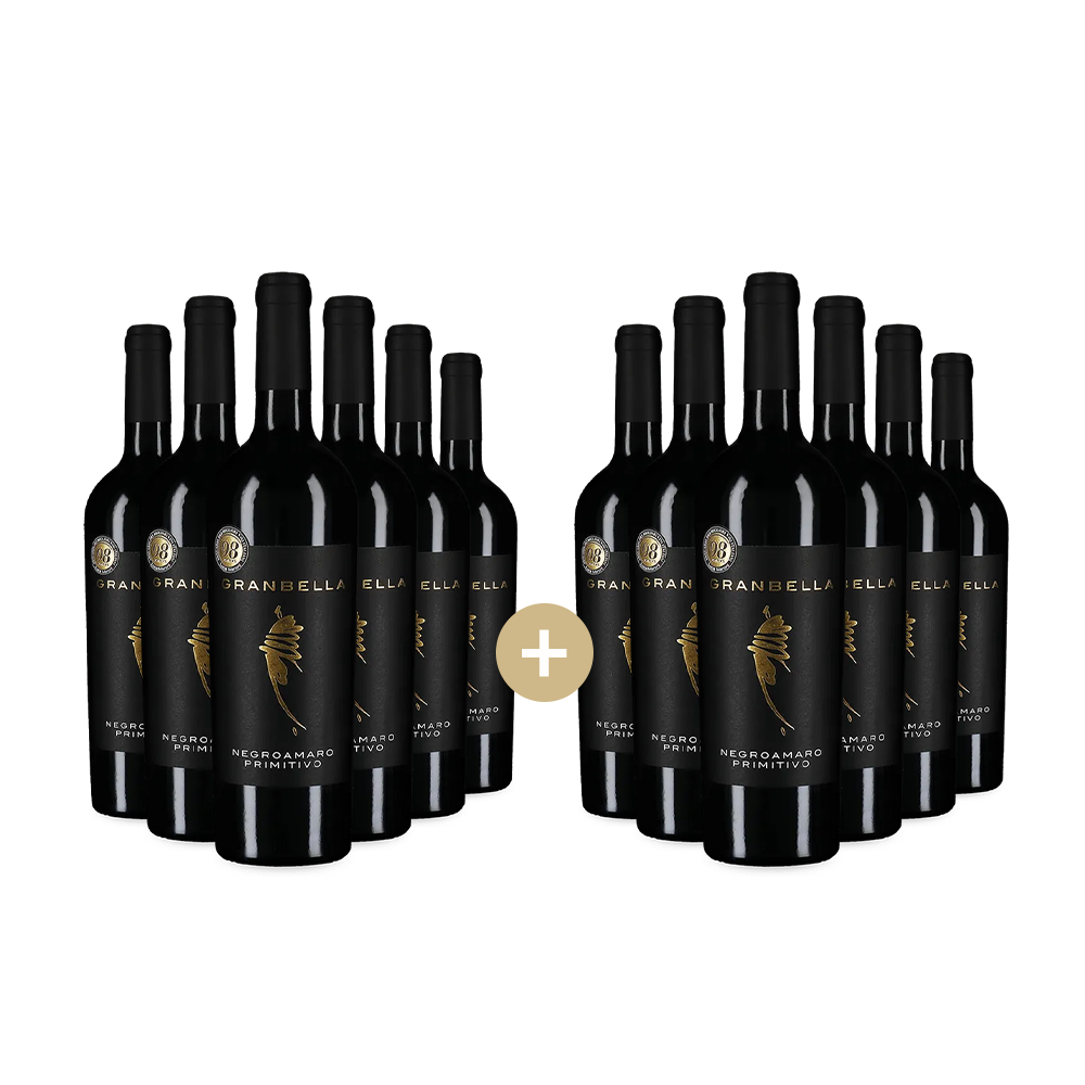6+6 lahví Negroamaro Primitivo 2024 – Gold