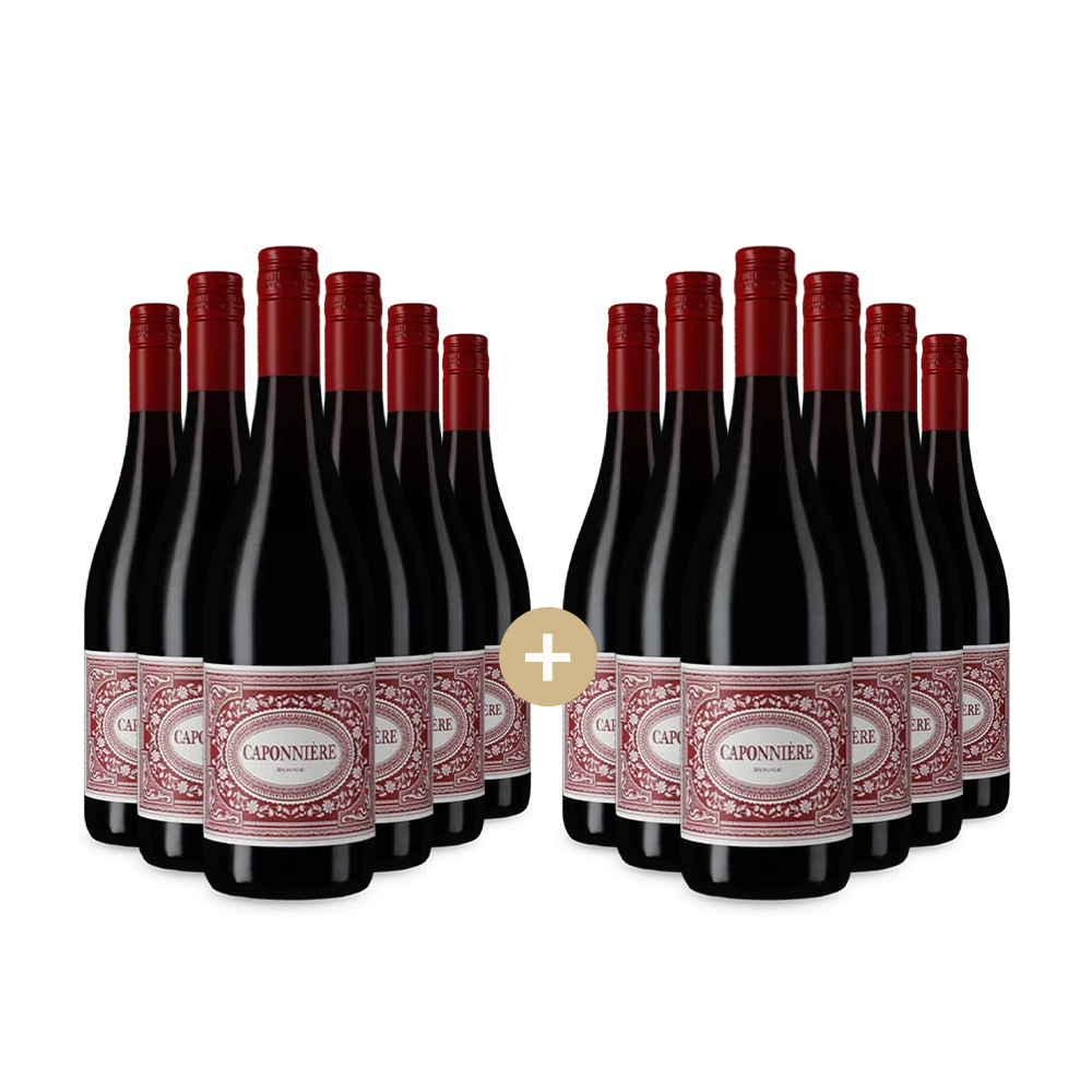 6+6 lahví Rouge 2023 – Gold