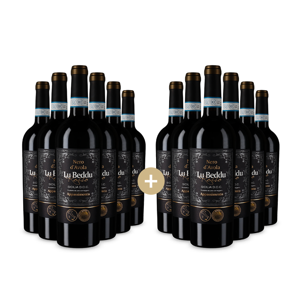 6+6 lahví Nero d’Avola Sicilia Appassimento 2022 – Gold