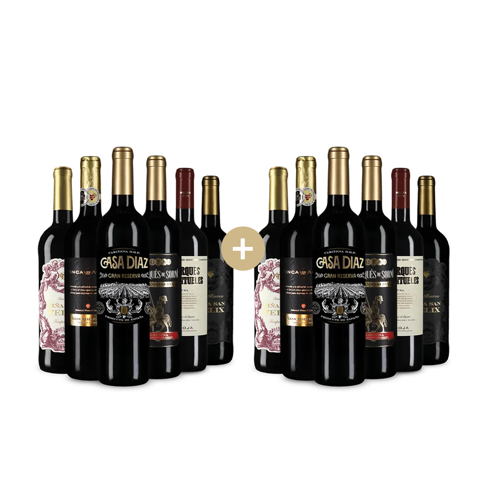 6+6 lahví špičkových červených vín ze Španělska – Gold