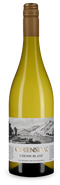 Queensdal Chenin Blanc 2024 – Víno roku