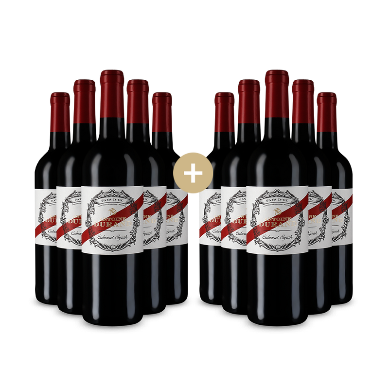 5+5 lahví Cabernet Syrah 2023 – Gold