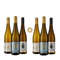 3+3 hvězdné Rieslingy z Falcka – Gold
