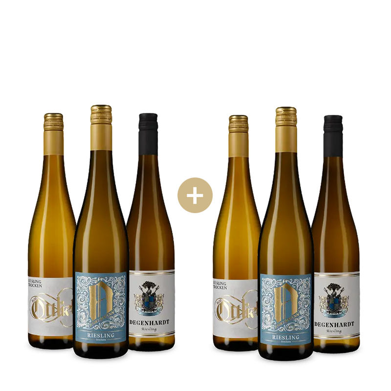 3+3 hvězdné Rieslingy z Falcka – Gold
