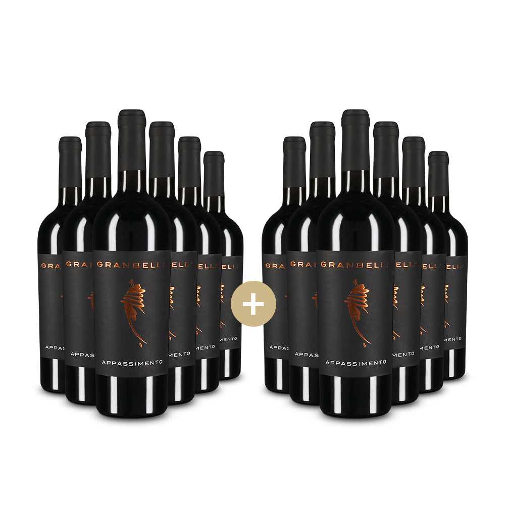 6+6 lahví Appassimento Puglia 2024 – Gold