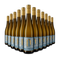 12 lahví Riesling 2024 – Gold