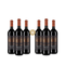 3+3 lahve Primadoro Nero di Troia Primitivo 2024 – Gold