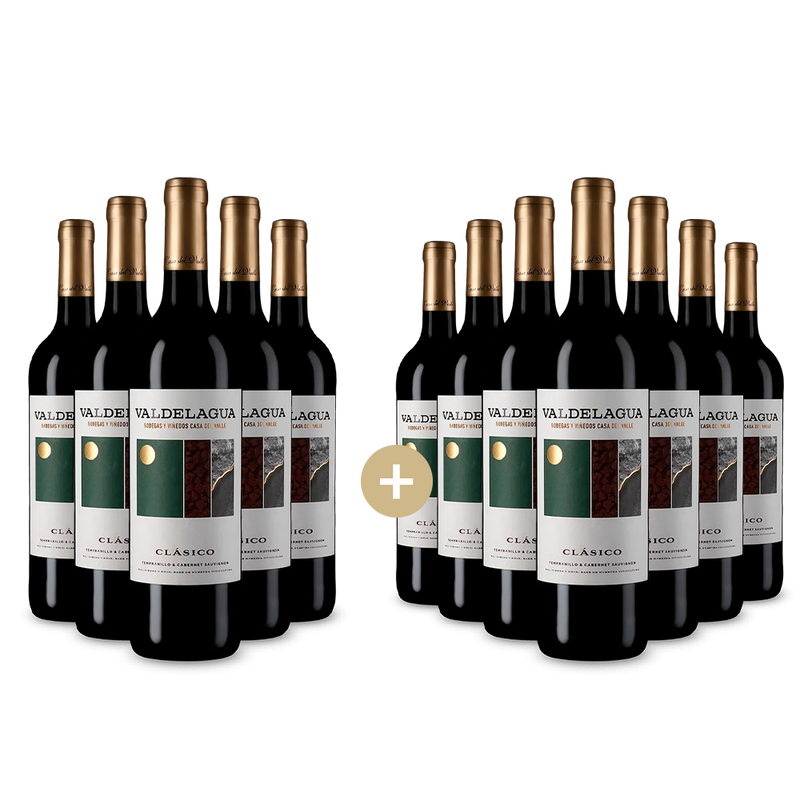 5+7 lahví Valdelagua Clásico Tinto 2023 – Gold