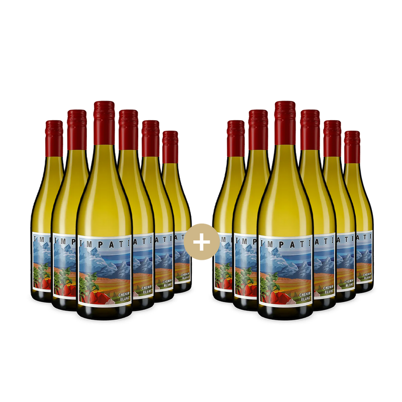 6+6 lahví Chenin Blanc 2024 – Gold