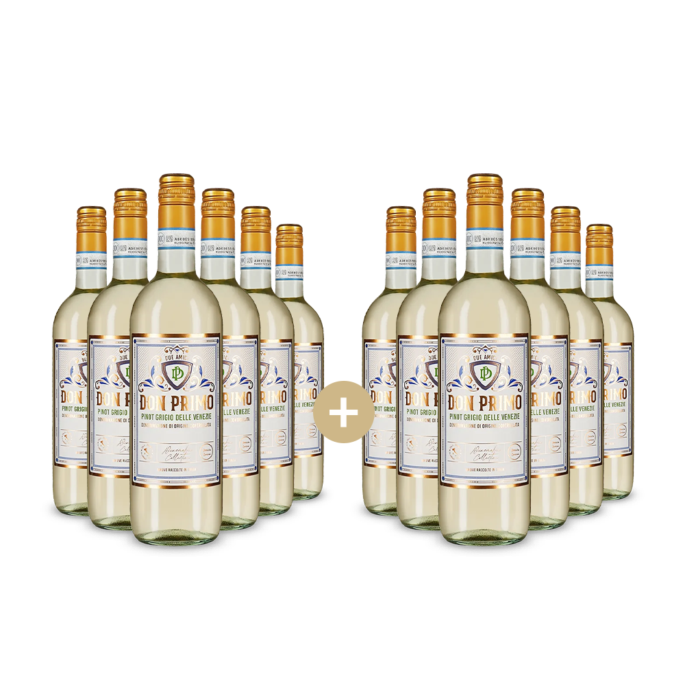 6+6 lahví Pinot Grigio delle Venezie 2024 – Gold