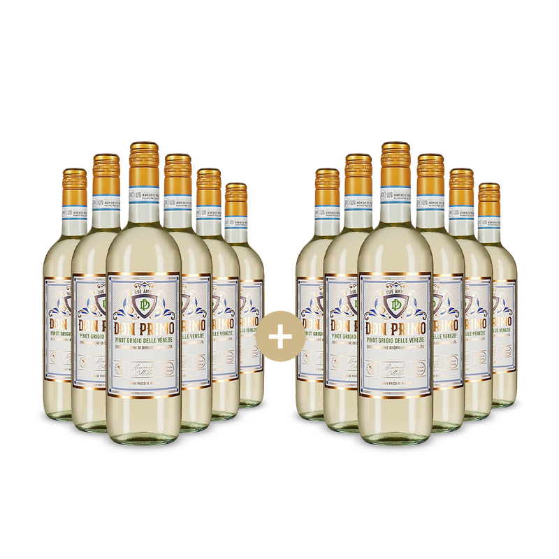 6+6 lahví Pinot Grigio delle Venezie 2024 – Gold