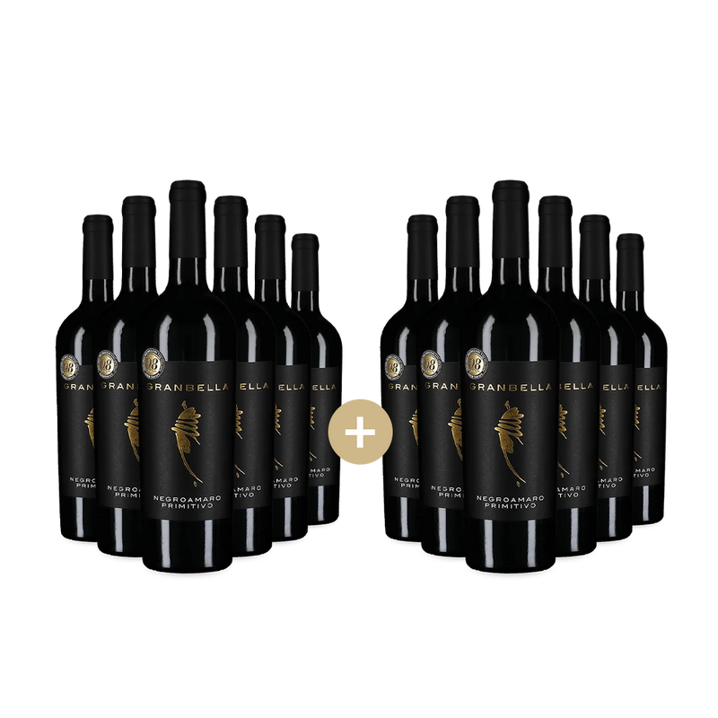6+6 lahví Negroamaro Primitivo 2024 – Gold