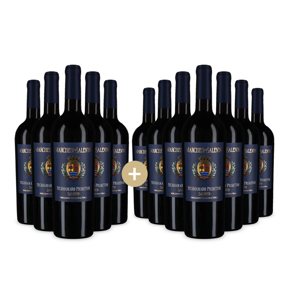 5+7 lahví Negroamaro Primitivo 2024 – Gold