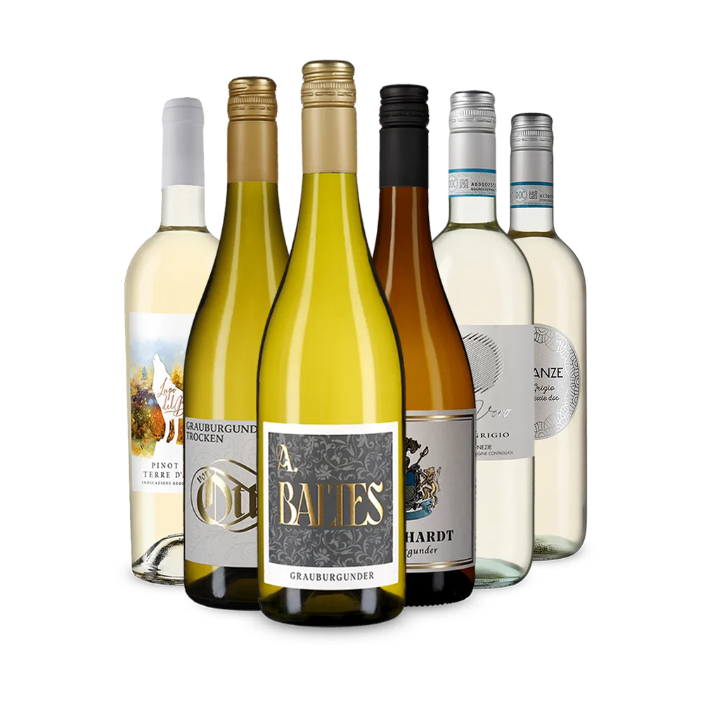 Rulandské šedé & Pinot Grigio: Naše hvězdy v balení po 6 kusech – Gold