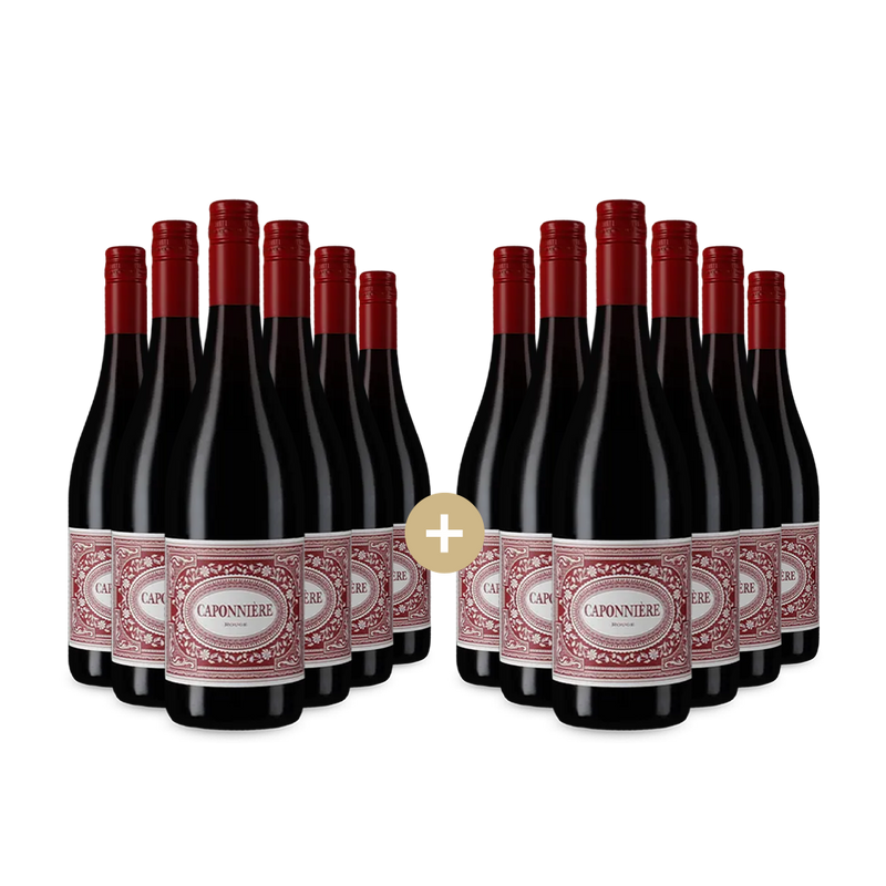 6+6 lahví Rouge 2023 – Gold