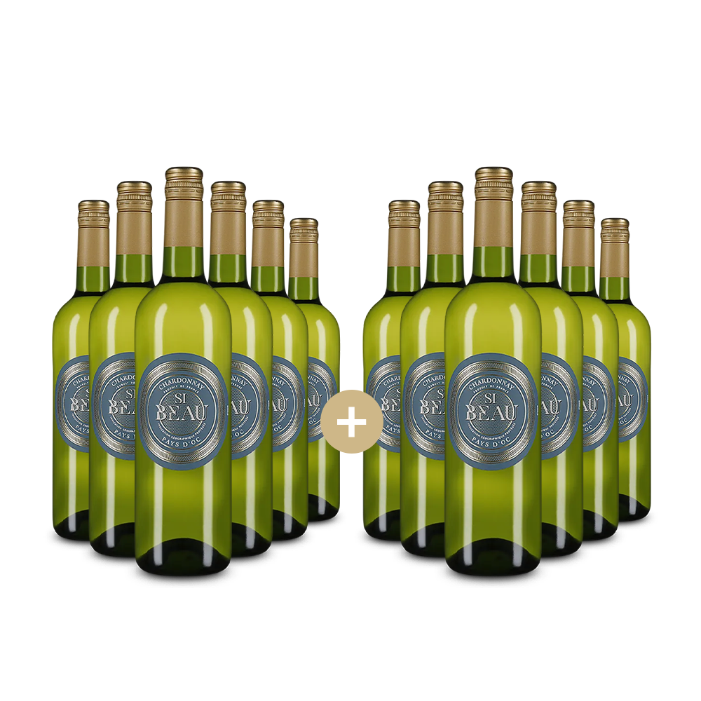 6+6 lahví Chardonnay 2024 – Gold