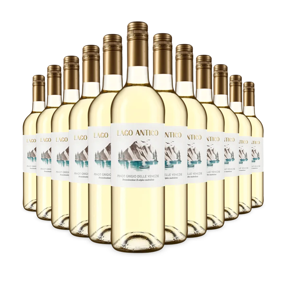12 lahví Pinot Grigio delle Venezie 2024 – Gold