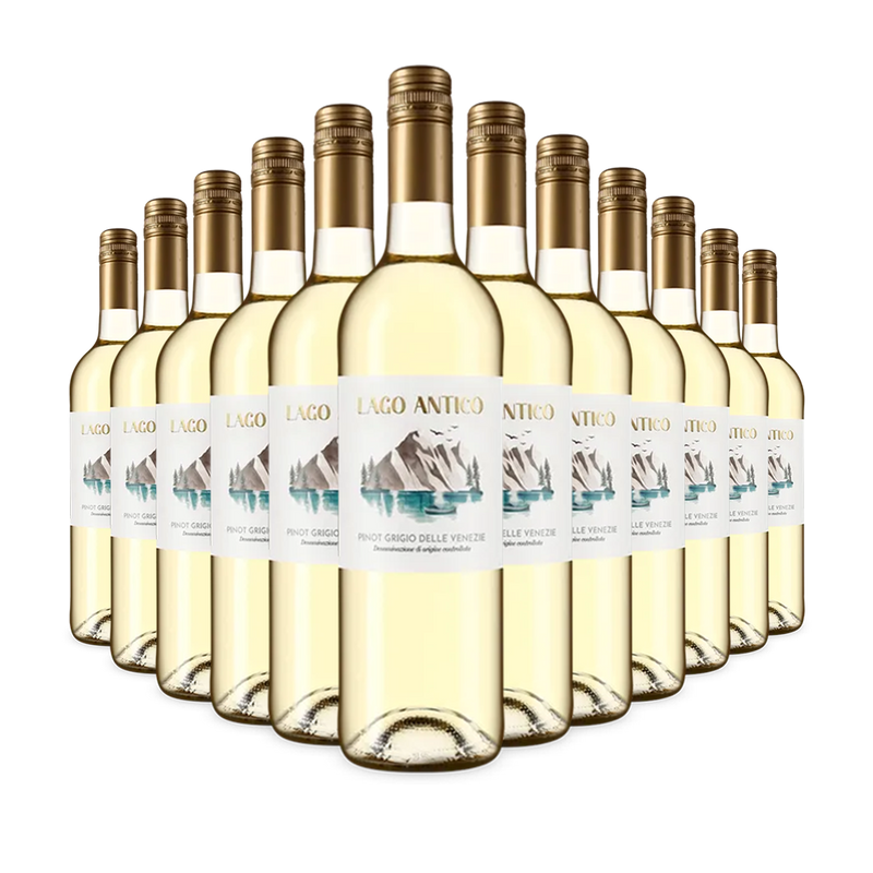 12 lahví Pinot Grigio delle Venezie 2024 – Gold
