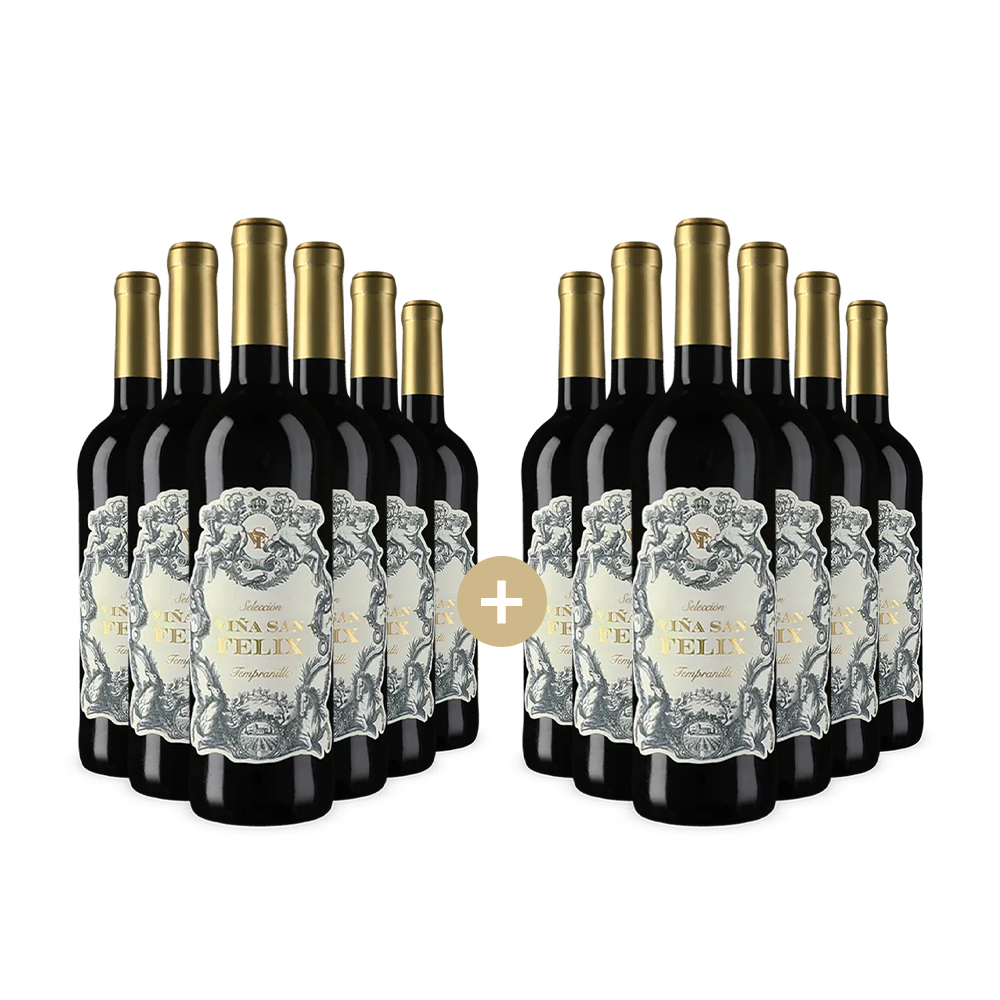 6+6 lahví Tempranillo Selección 2024 – Gold