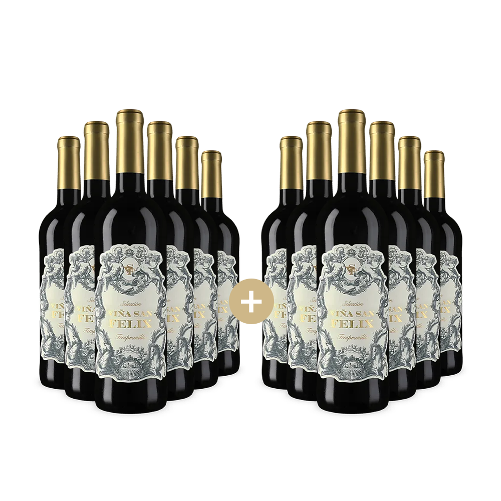 6+6 lahví Tempranillo Selección 2024 – Gold