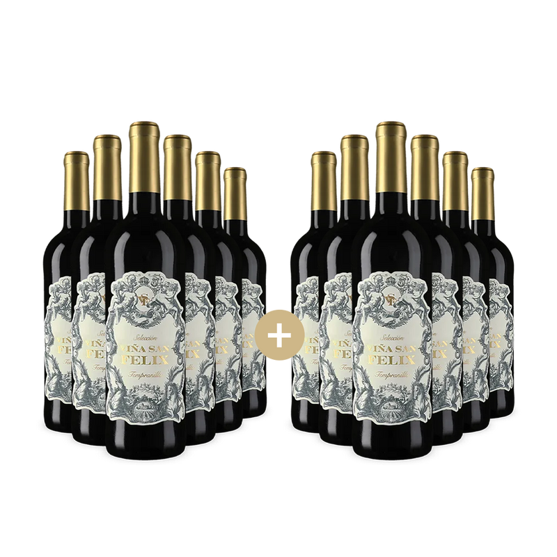 6+6 lahví Tempranillo Selección 2024 – Gold