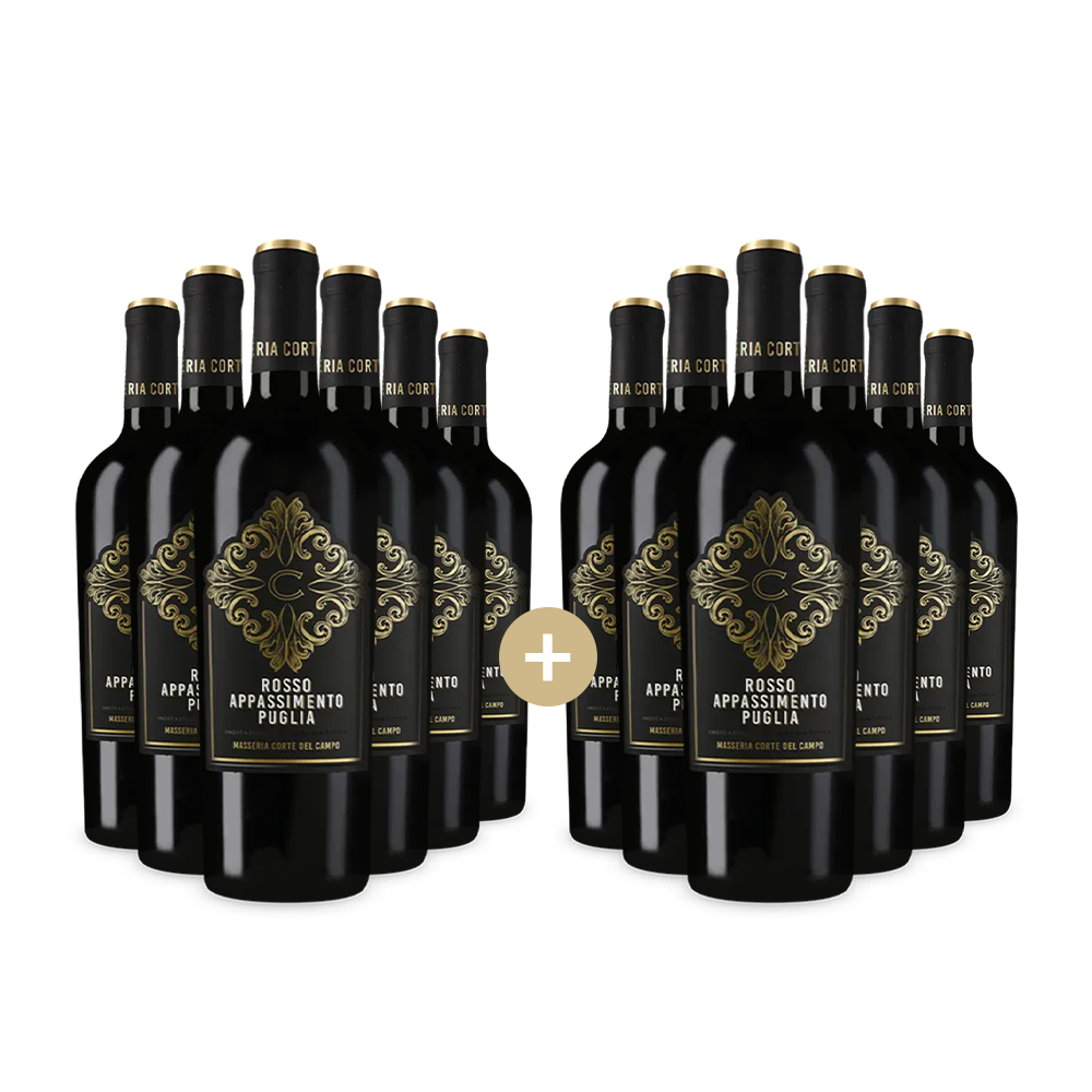6+6 lahví Rosso Appassimento Puglia 2023 – Gold