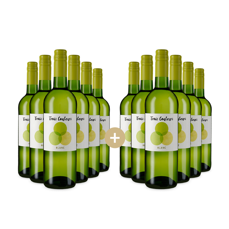 6+6 lahví Blanc 2024 – Gold