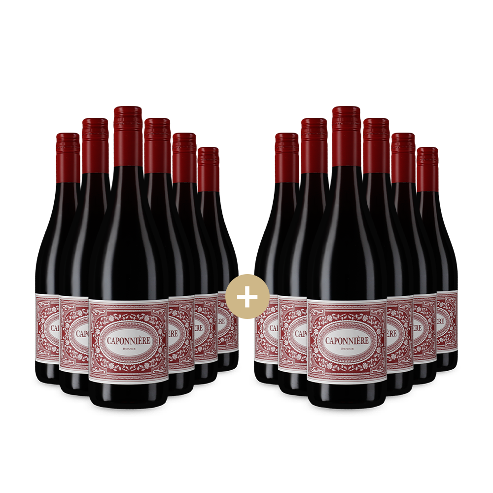 6+6 lahví Rouge 2024 – Gold