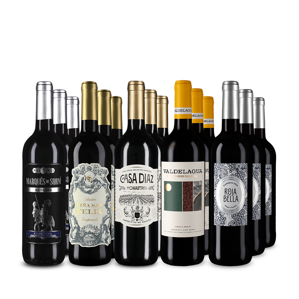 Zlatem oceněná červená vína ze Španělska v balení 5x3 – Gold