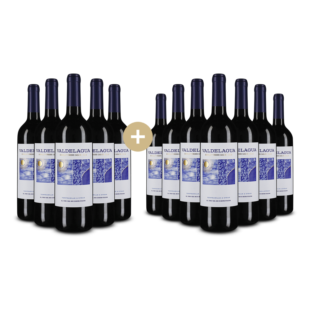 5+7 zdarma: Valdelagua Tempranillo & Syrah 2024