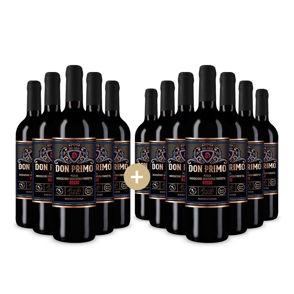 5+7 lahví Rosso Puglia 2024 – Gold