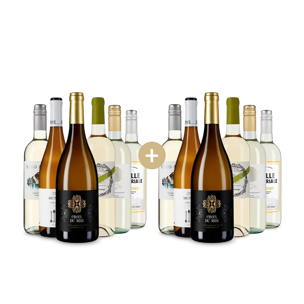 6+6 lahví hvězdných jihoevropských Chardonnay – Gold