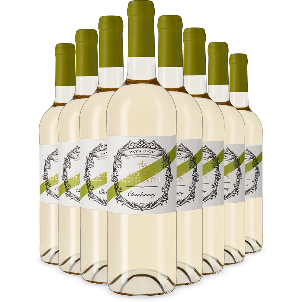 8 lahví Chardonnay 2024 – Gold