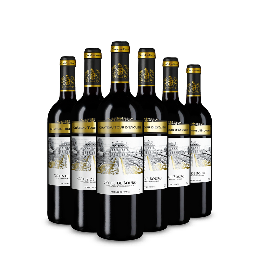 6 lahví Côtes de Bourg 2022