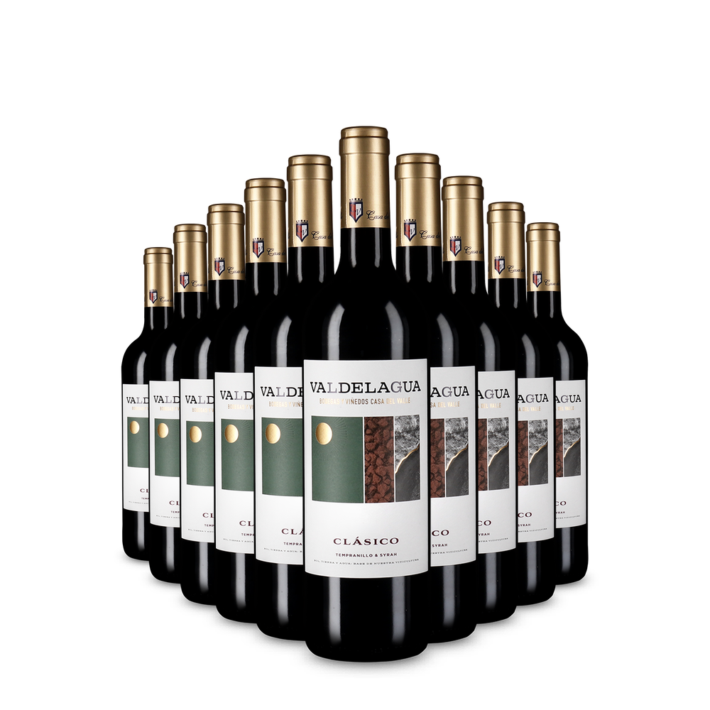 10 lahví Valdelagua Clásico Tinto 2024