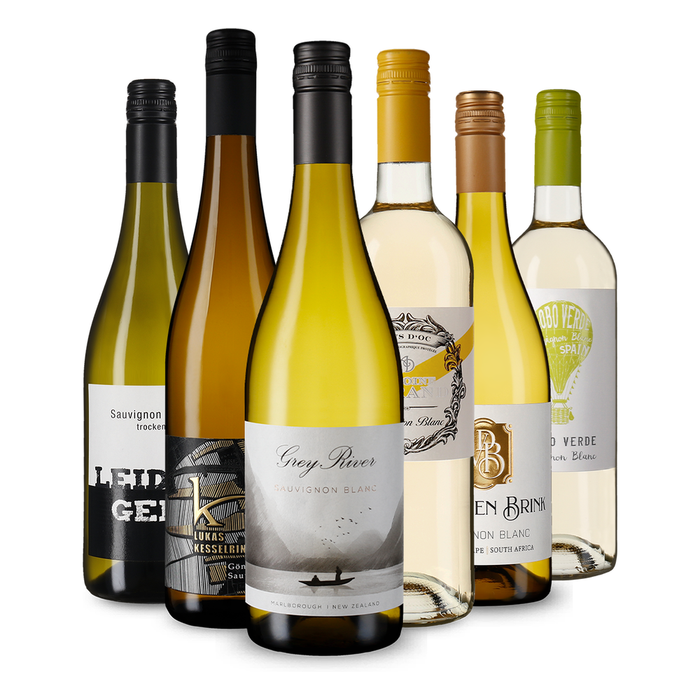 6x1 Výběr Sauvignon Blanc z celého světa
