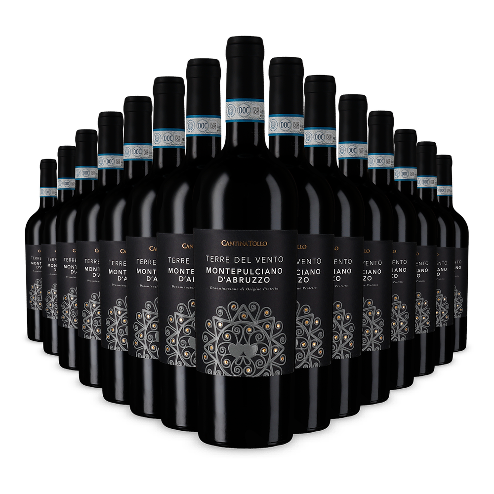 15x Terre del Vento Montepulciano d'Abruzzo 2024