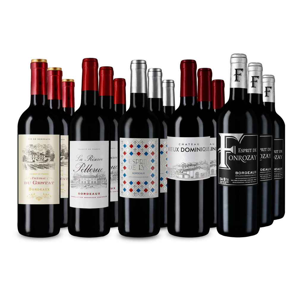 5x3 Bordeaux: Prvotřídní požitek z červeného vína