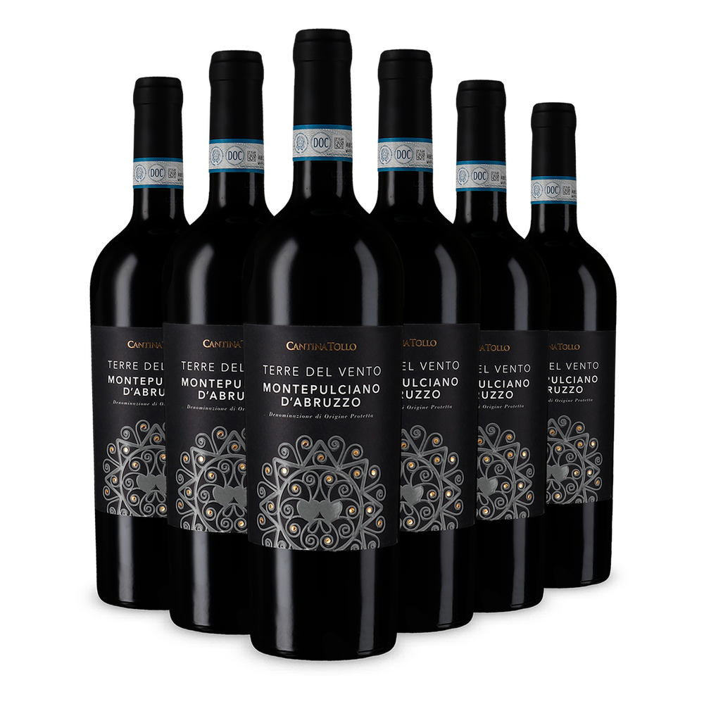 6x Terre del Vento Montepulciano d'Abruzzo 2024